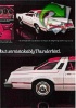 Ford 1976 339.jpg